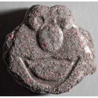 Elmo (Sesamstrasse) molecular scheme