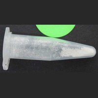 3-MeO-PCP molecular scheme