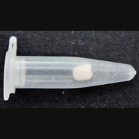 2C-B molecular scheme