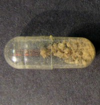 Molly molecular scheme