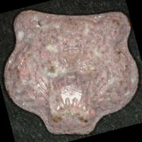 Kenzo molecular scheme