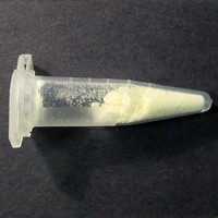 14-Cinnamoyloxycodeinone molecular scheme
