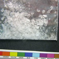 Cocaine molecular scheme