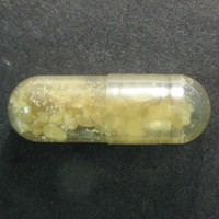 Molly molecular scheme