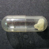 Molly molecular scheme