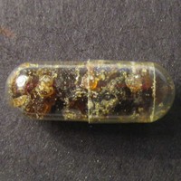 Molly molecular scheme