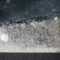 3C-P molecular scheme