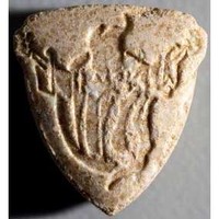 Thunderdome molecular scheme