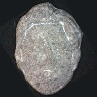 Face molecular scheme