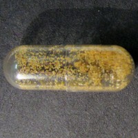 Molly molecular scheme