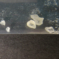 MDMA molecular scheme