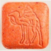 Kamel molecular scheme