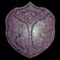 Tomorrowland molecular scheme