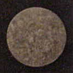 Molly molecular scheme