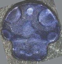 Pilz molecular scheme