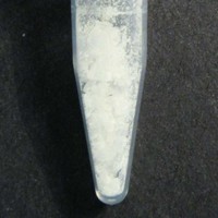 Molly molecular scheme