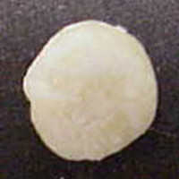 Crown ('Triple Stacked') molecular scheme