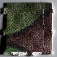 Alice in Wonderland molecular scheme