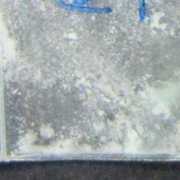 Molly molecular scheme