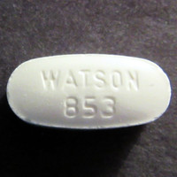 Watson 853 molecular scheme