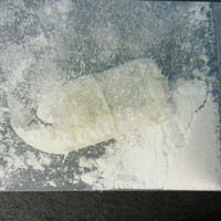 Molly molecular scheme