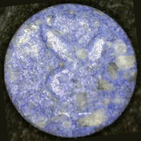 Playboy molecular scheme