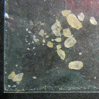 Champaign Molly molecular scheme