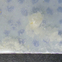 Molly molecular scheme