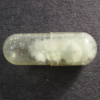 Cocaine molecular scheme