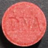 DNA molecular scheme