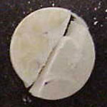 Plain Tablet molecular scheme