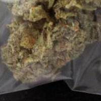 Cannabis molecular scheme