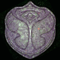 Tomorrowland molecular scheme