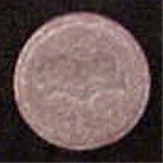 Bat (Pink) molecular scheme