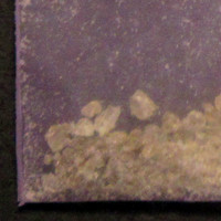 Molly molecular scheme