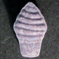 Purple Ice Cream molecular scheme