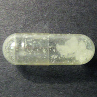 Molly molecular scheme