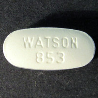 Watson 853 molecular scheme