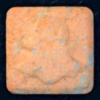 Snapchat molecular scheme