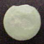 Fish (green) molecular scheme