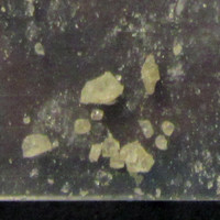 Molly molecular scheme