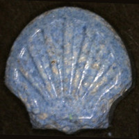 Shell molecular scheme