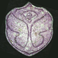 Tomorrowland molecular scheme