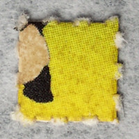 Panda LSD molecular scheme