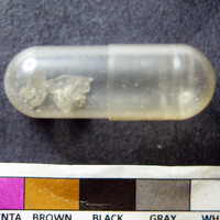 Molly molecular scheme