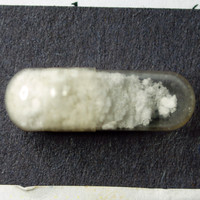 MDMA molecular scheme