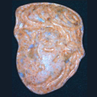 Trump molecular scheme