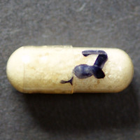 White Powder molecular scheme