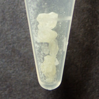 Molly molecular scheme