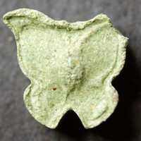 Butterfly molecular scheme